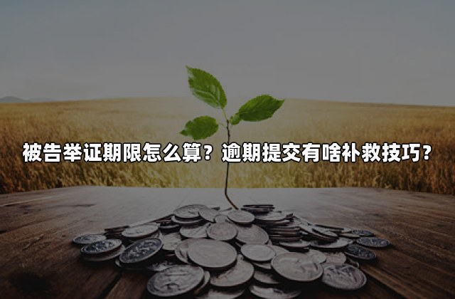 被告举证期限怎么算？逾期提交有啥补救技巧？