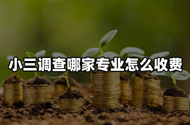 小三调查哪家专业怎么收费